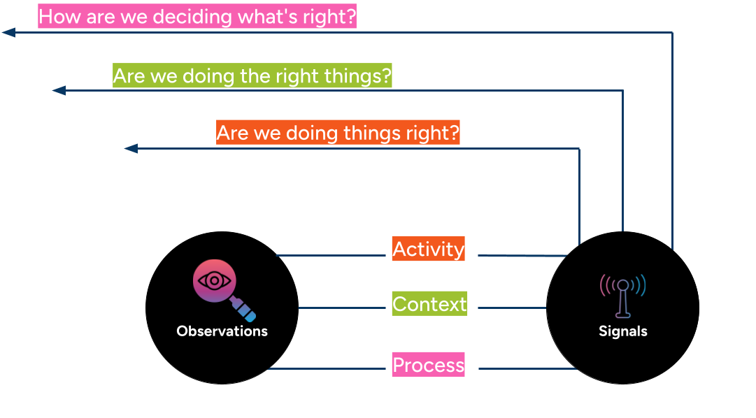 Observations, signals and structures that liberate.