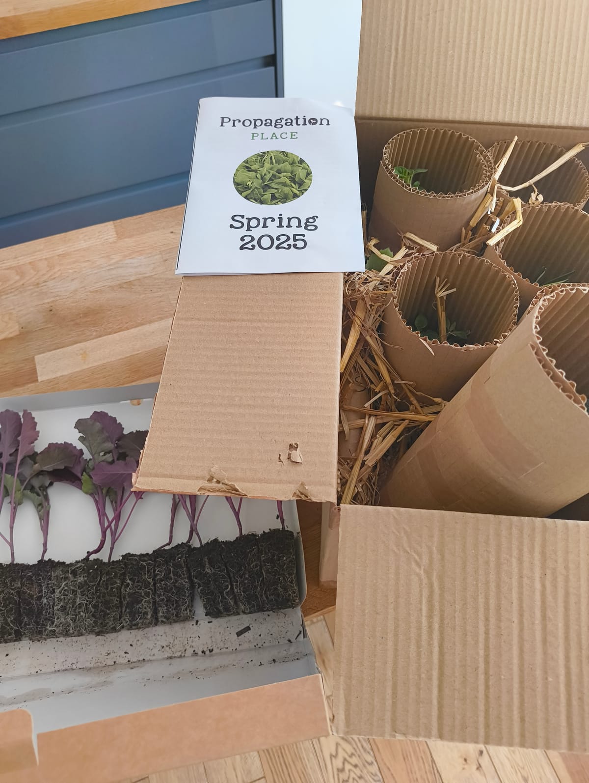Weeknote #15